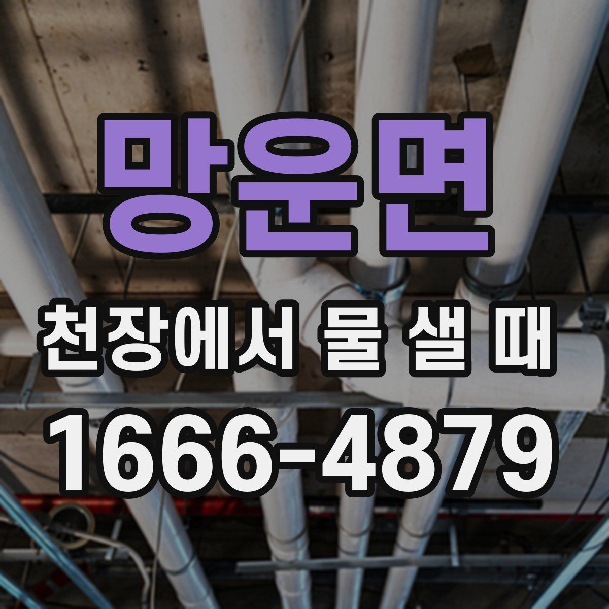 망운면 천장에서 물 샐 때