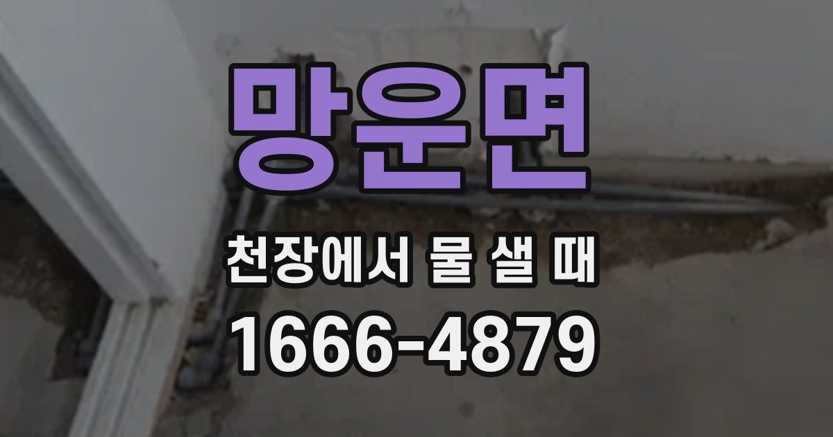 망운면 천장에서 물 샐 때