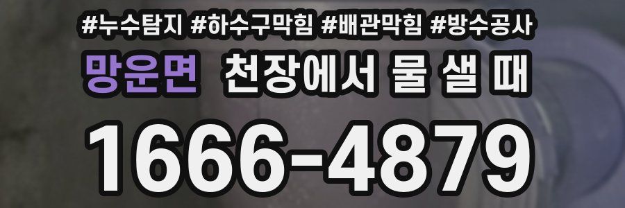 망운면 천장에서 물 샐 때
