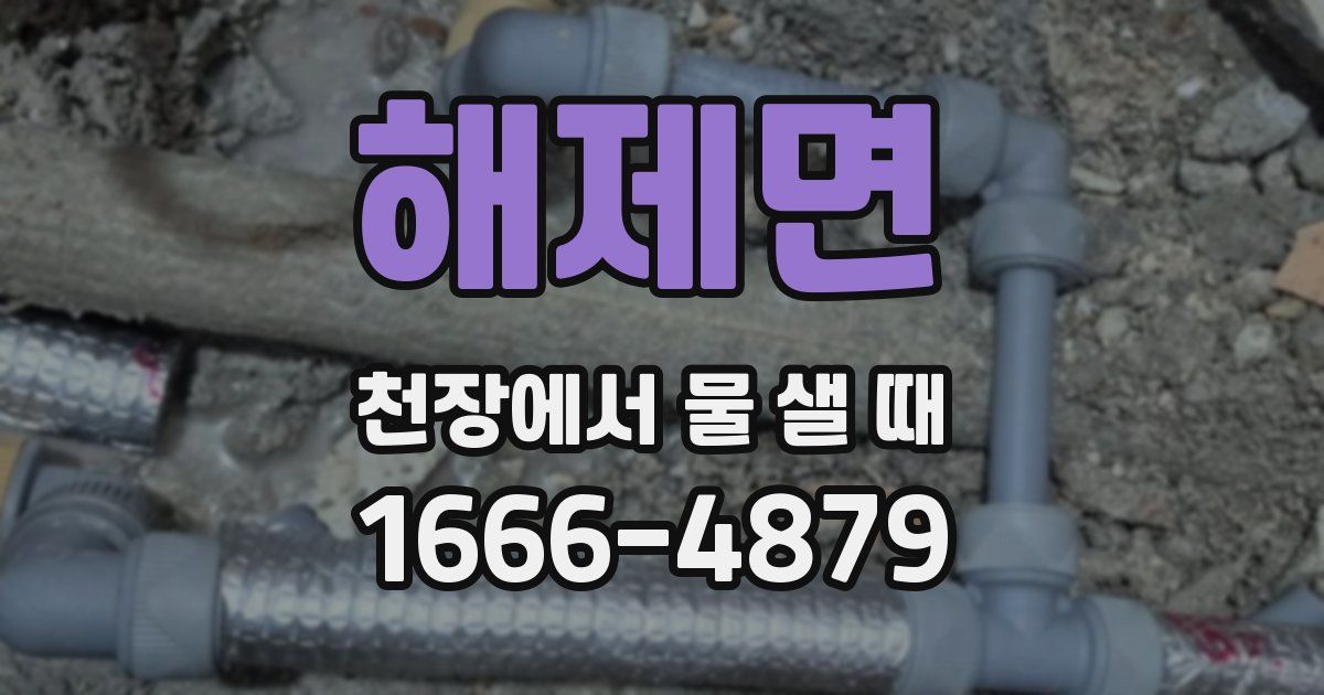 해제면 천장에서 물 샐 때