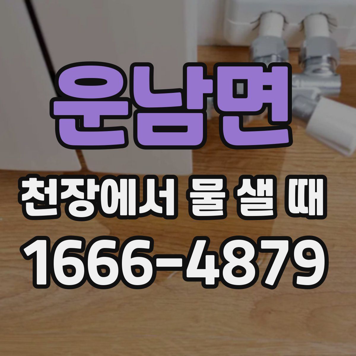 운남면 천장에서 물 샐 때