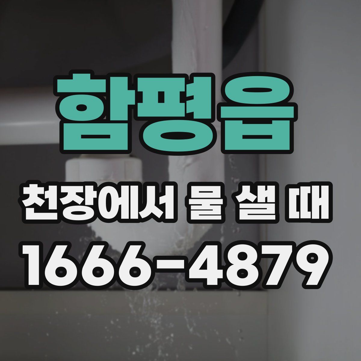 함평읍 천장에서 물 샐 때