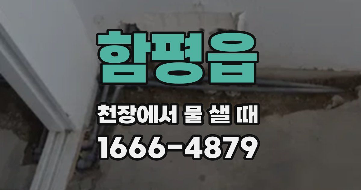 함평읍 천장에서 물 샐 때