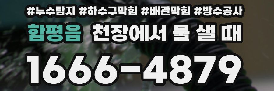 함평읍 천장에서 물 샐 때
