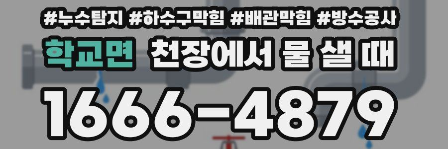 학교면 천장에서 물 샐 때