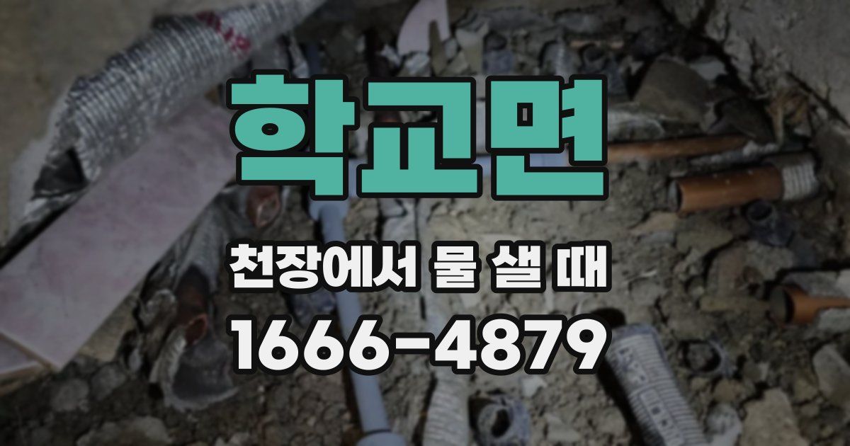 학교면 천장에서 물 샐 때