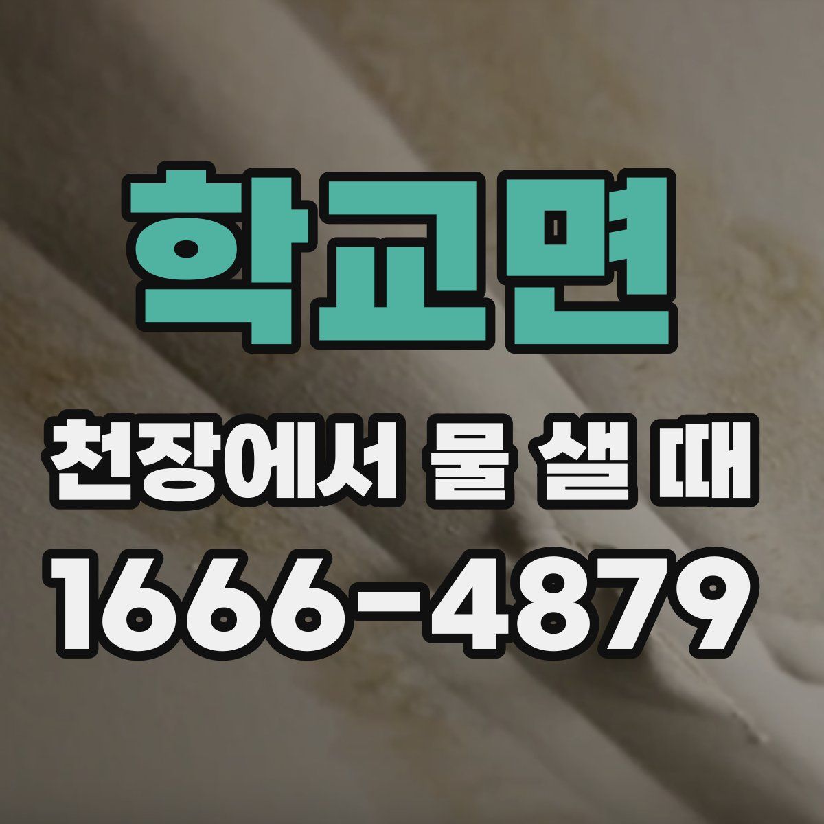 학교면 천장에서 물 샐 때