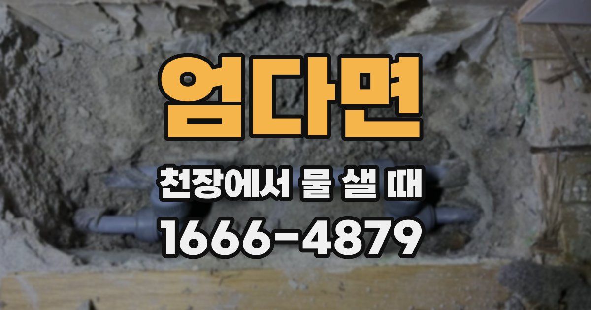 엄다면 천장에서 물 샐 때