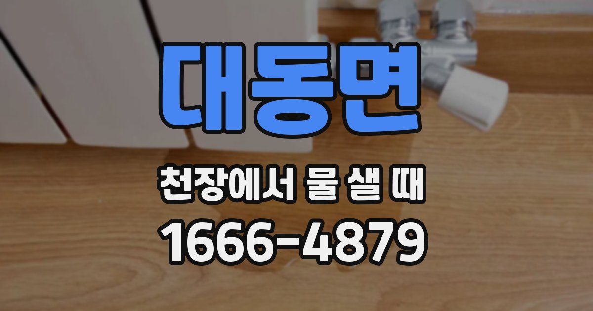 대동면 천장에서 물 샐 때