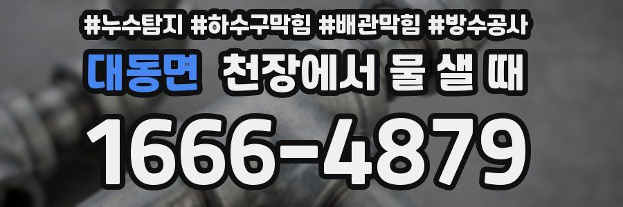 대동면 천장에서 물 샐 때