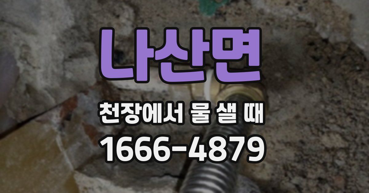 나산면 천장에서 물 샐 때