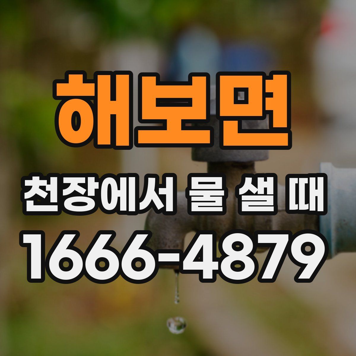 해보면 천장에서 물 샐 때