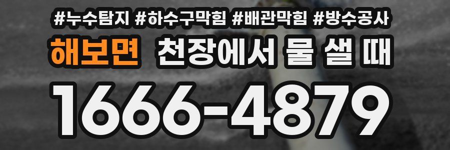 해보면 천장에서 물 샐 때