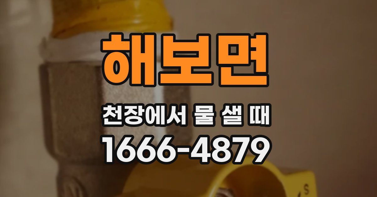 해보면 천장에서 물 샐 때