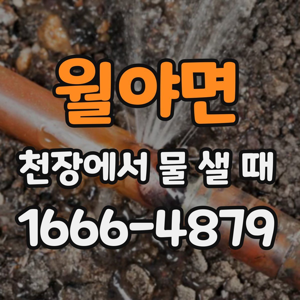 월야면 천장에서 물 샐 때
