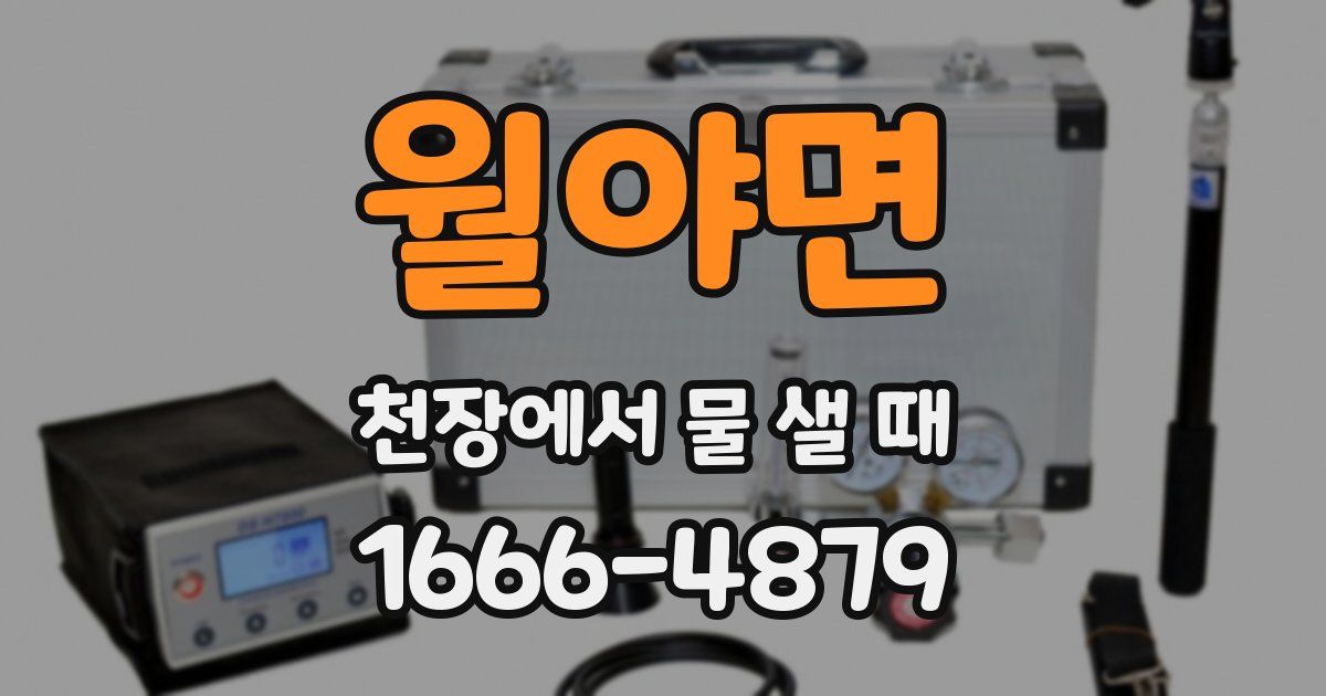 월야면 천장에서 물 샐 때