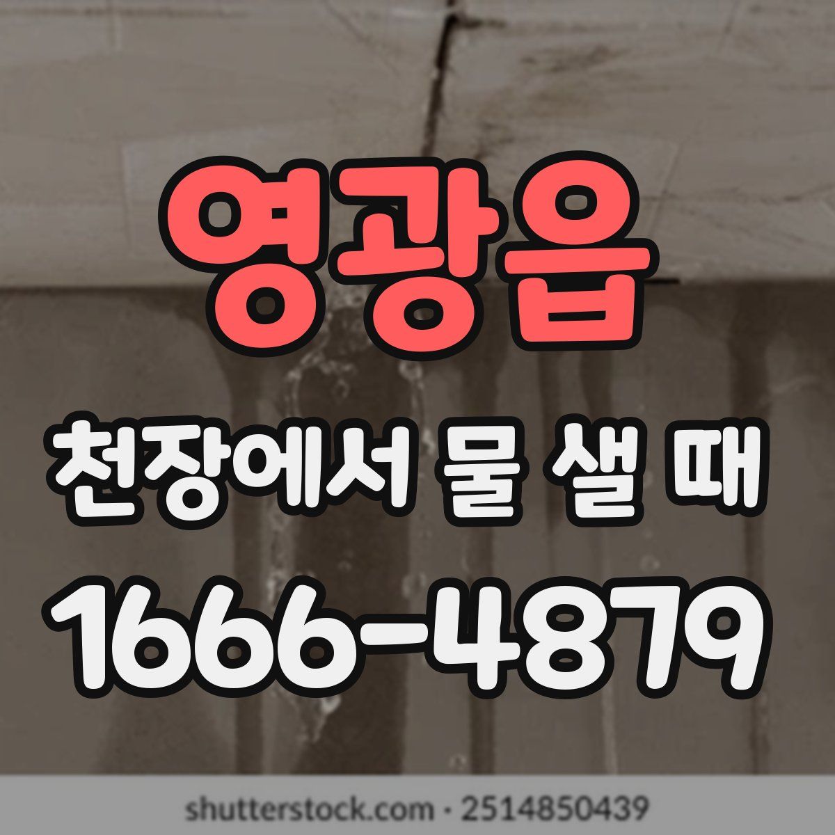 영광읍 천장에서 물 샐 때