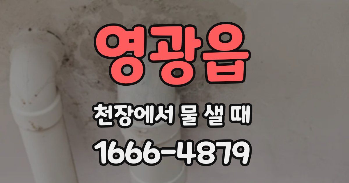 영광읍 천장에서 물 샐 때