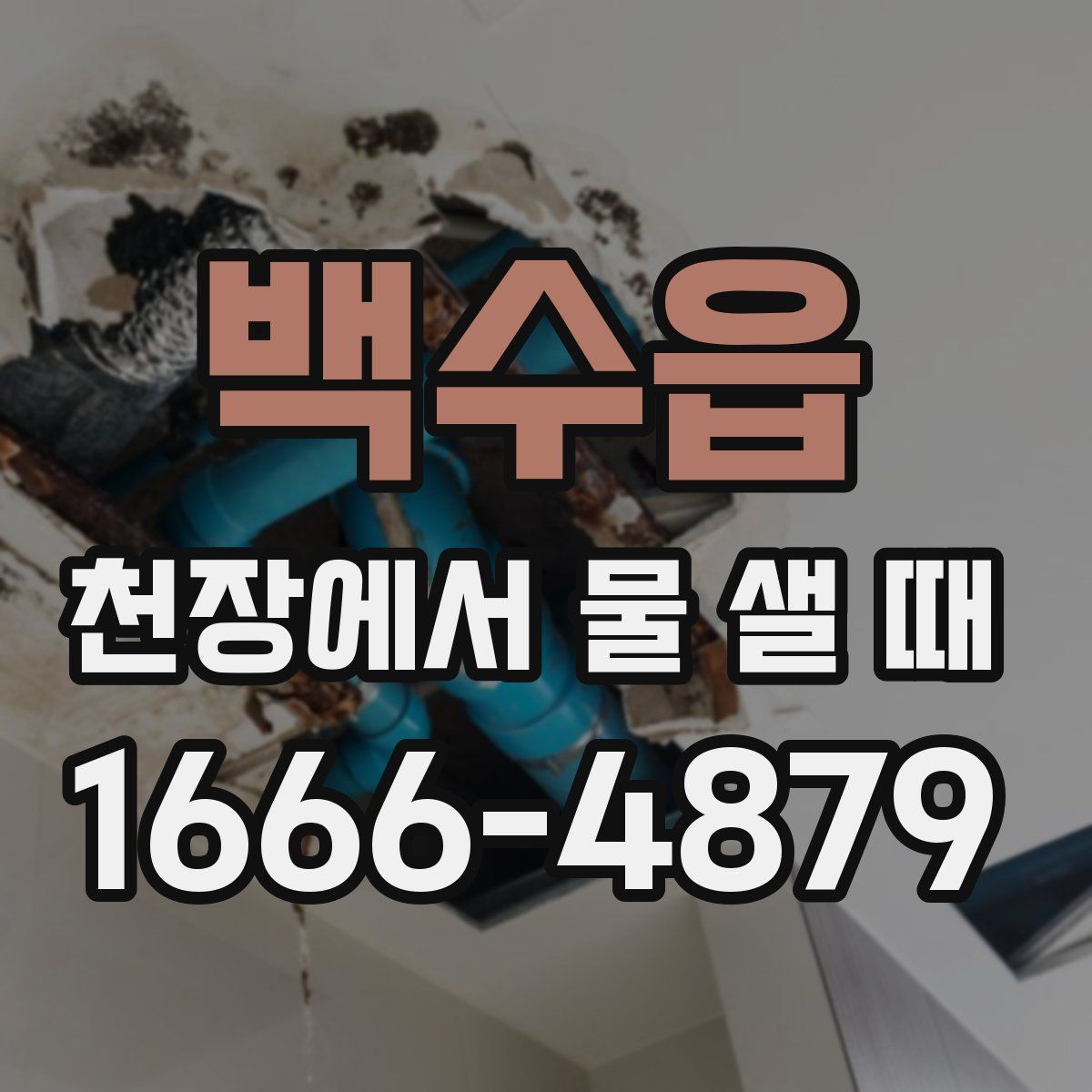백수읍 천장에서 물 샐 때