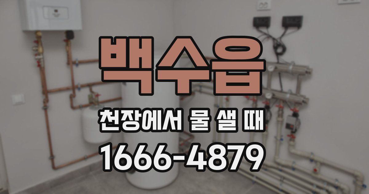 백수읍 천장에서 물 샐 때