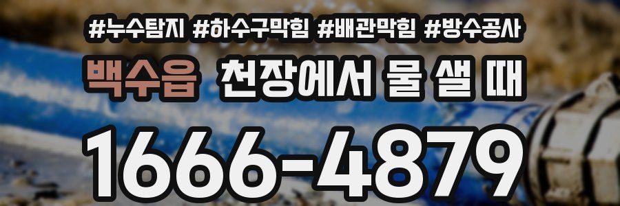 백수읍 천장에서 물 샐 때