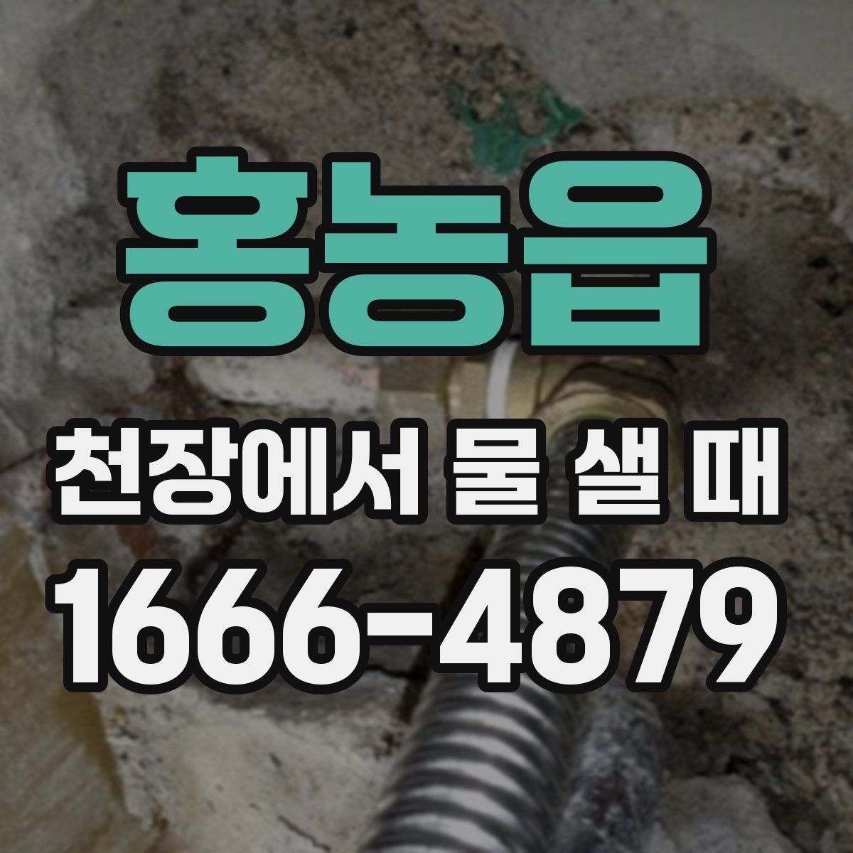 홍농읍 천장에서 물 샐 때