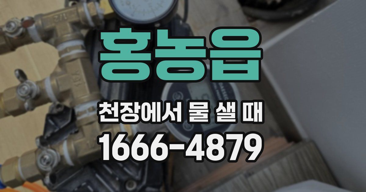홍농읍 천장에서 물 샐 때