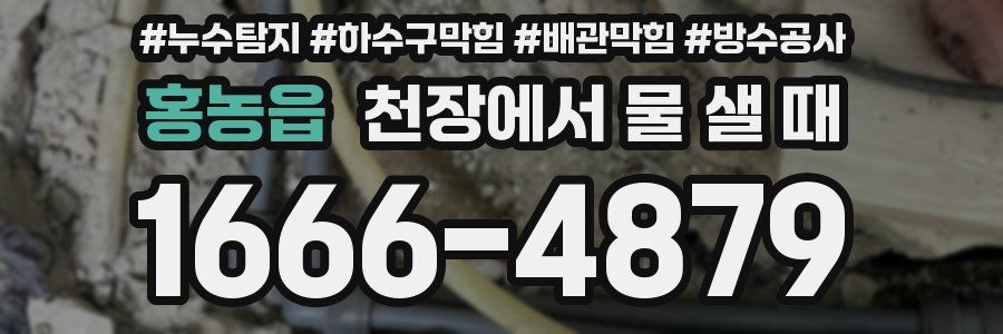 홍농읍 천장에서 물 샐 때