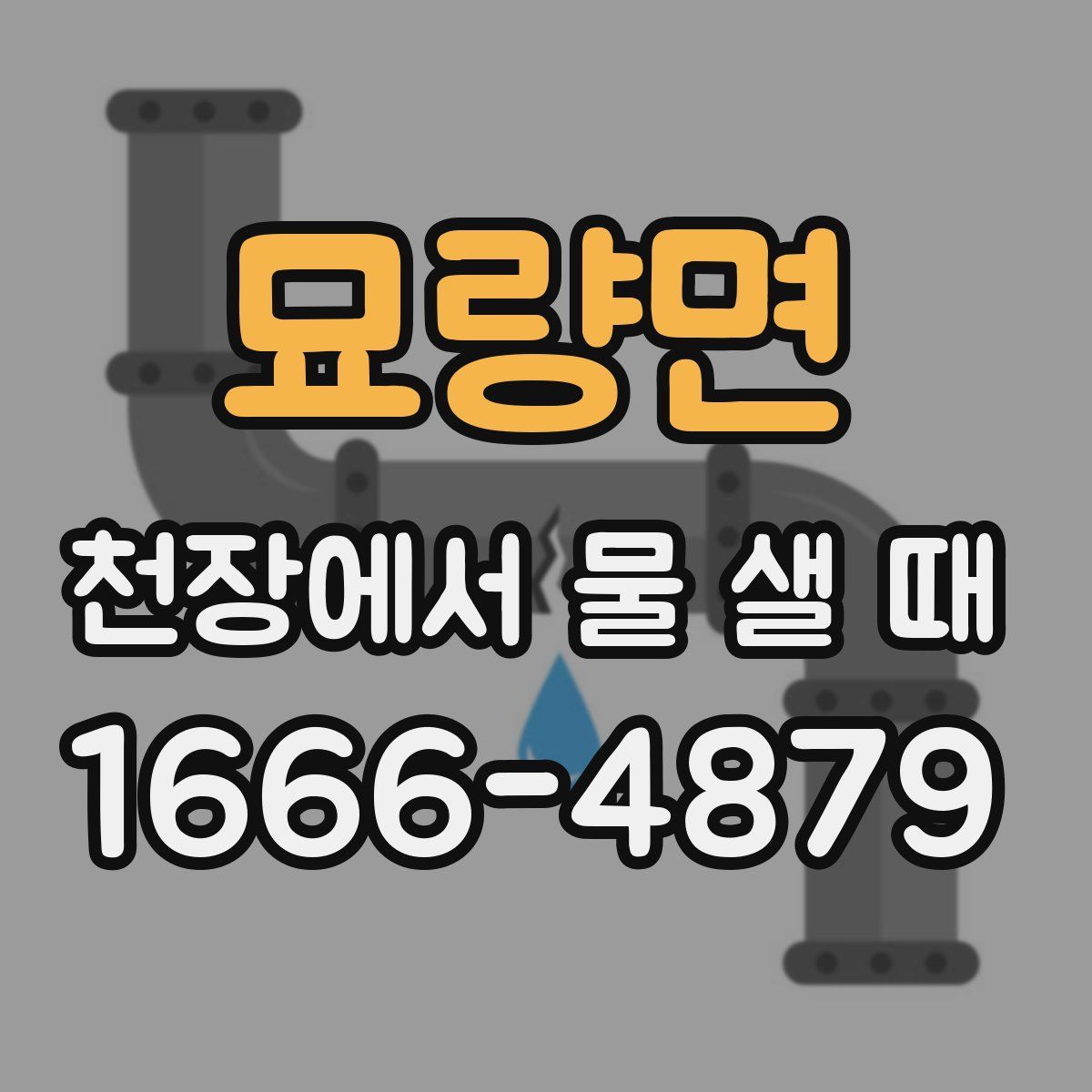 묘량면 천장에서 물 샐 때