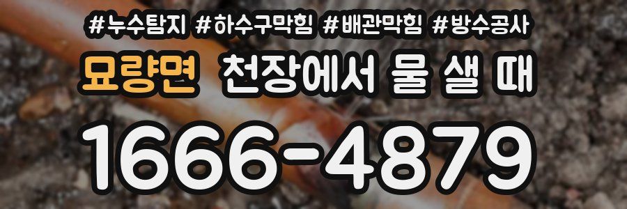 묘량면 천장에서 물 샐 때