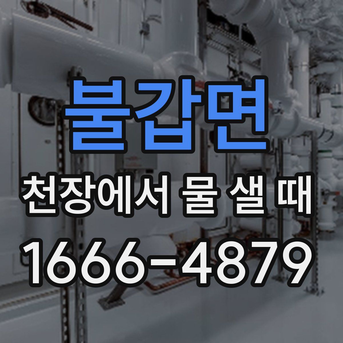 불갑면 천장에서 물 샐 때