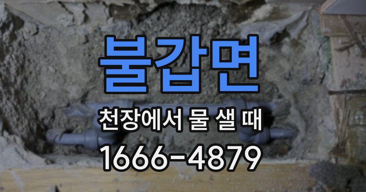불갑면 천장에서 물 샐 때