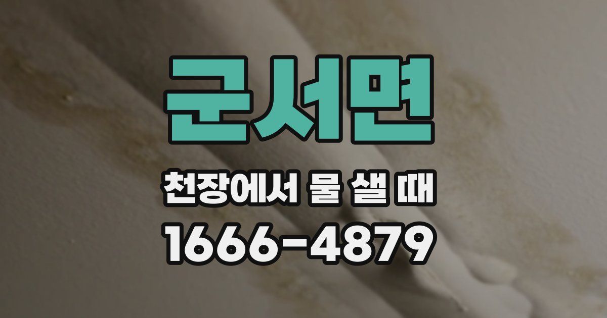 군서면 천장에서 물 샐 때