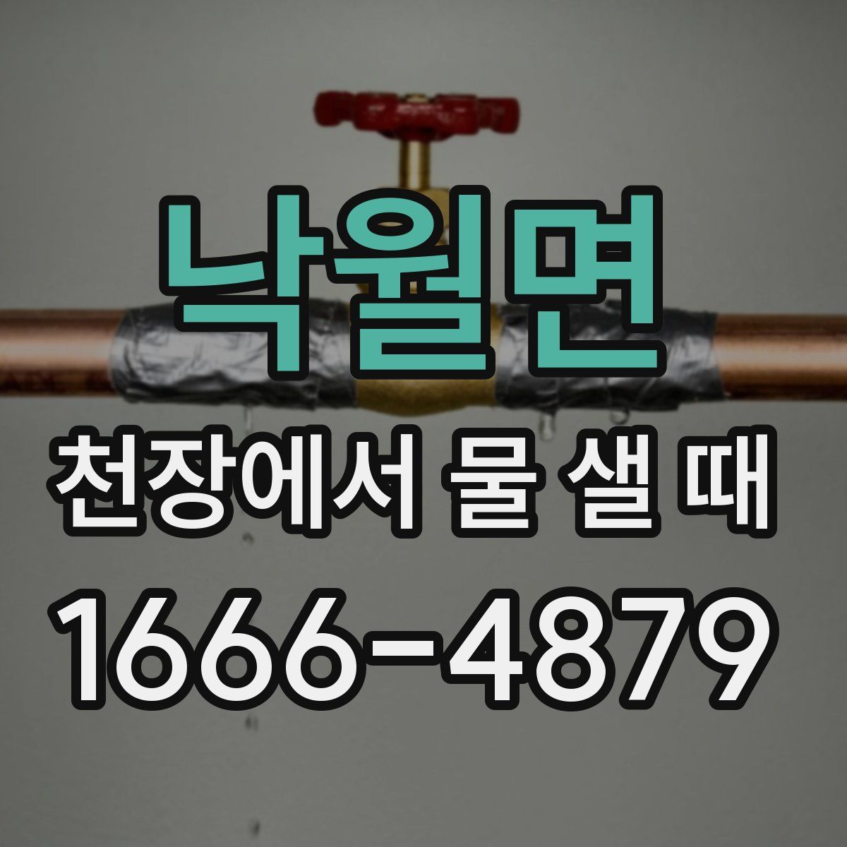 낙월면 천장에서 물 샐 때