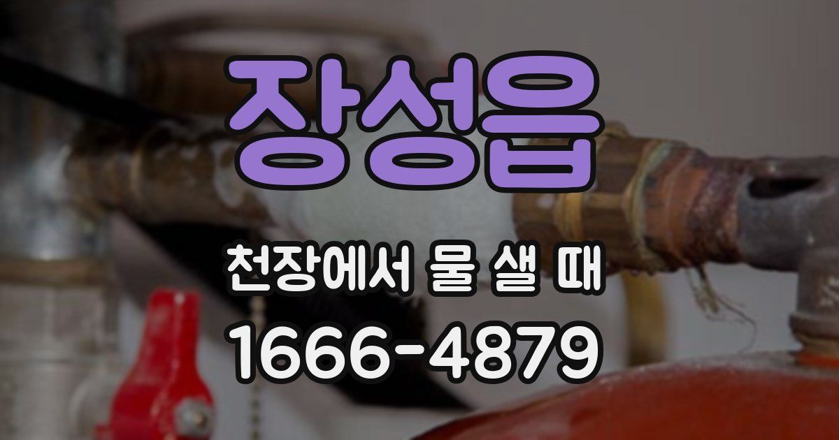 장성읍 천장에서 물 샐 때