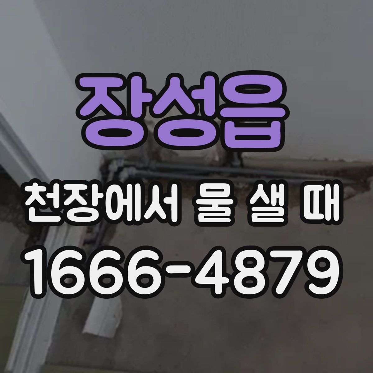 장성읍 천장에서 물 샐 때
