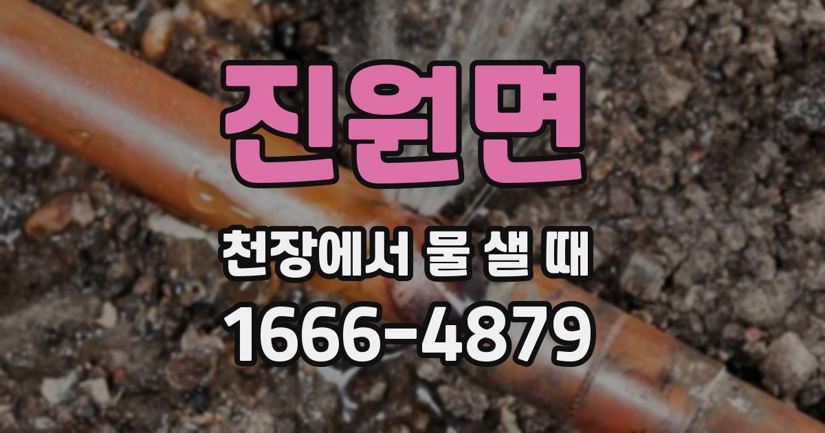 진원면 천장에서 물 샐 때