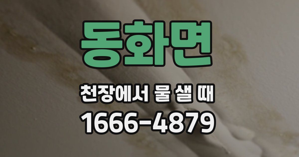동화면 천장에서 물 샐 때