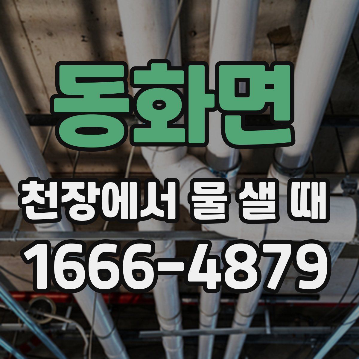 동화면 천장에서 물 샐 때