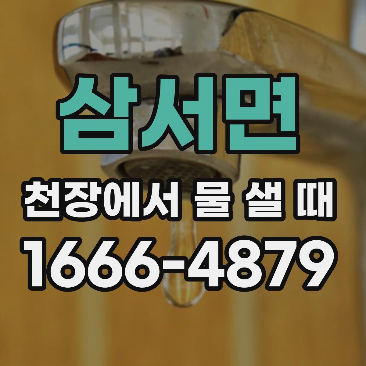 삼서면 천장에서 물 샐 때