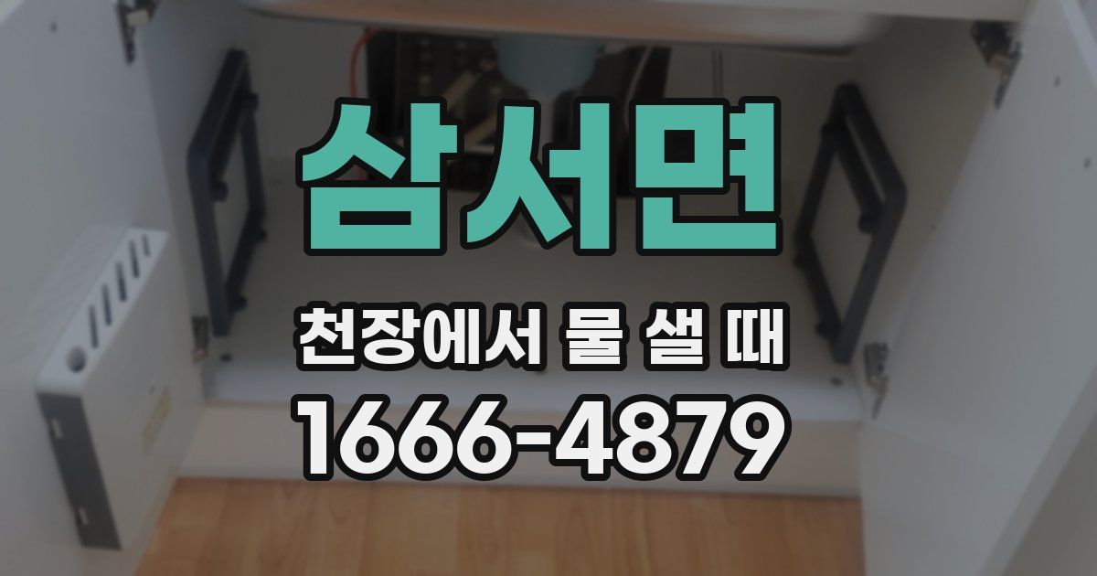 삼서면 천장에서 물 샐 때