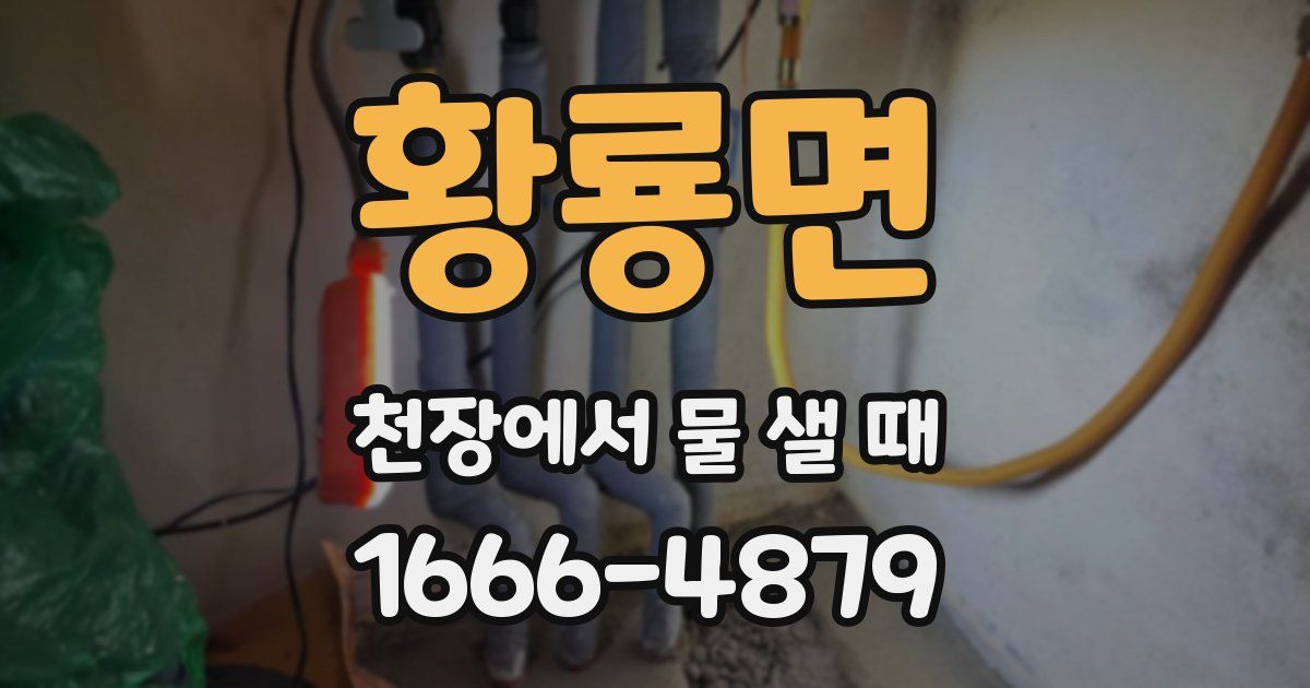 황룡면 천장에서 물 샐 때