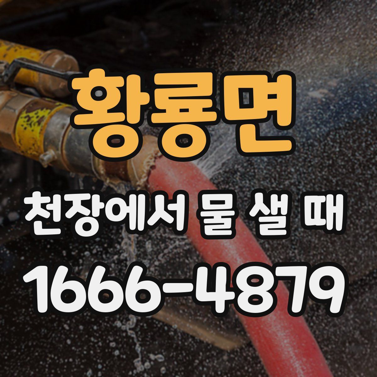 황룡면 천장에서 물 샐 때
