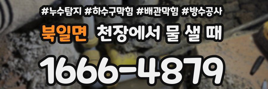 북일면 천장에서 물 샐 때