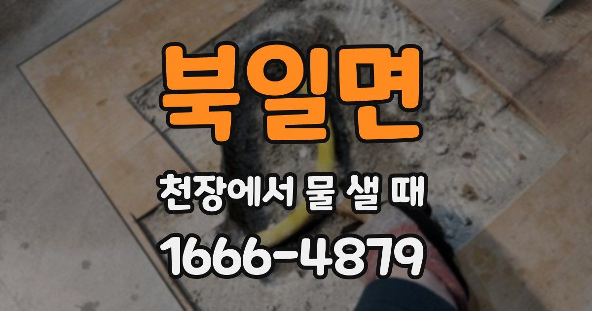 북일면 천장에서 물 샐 때