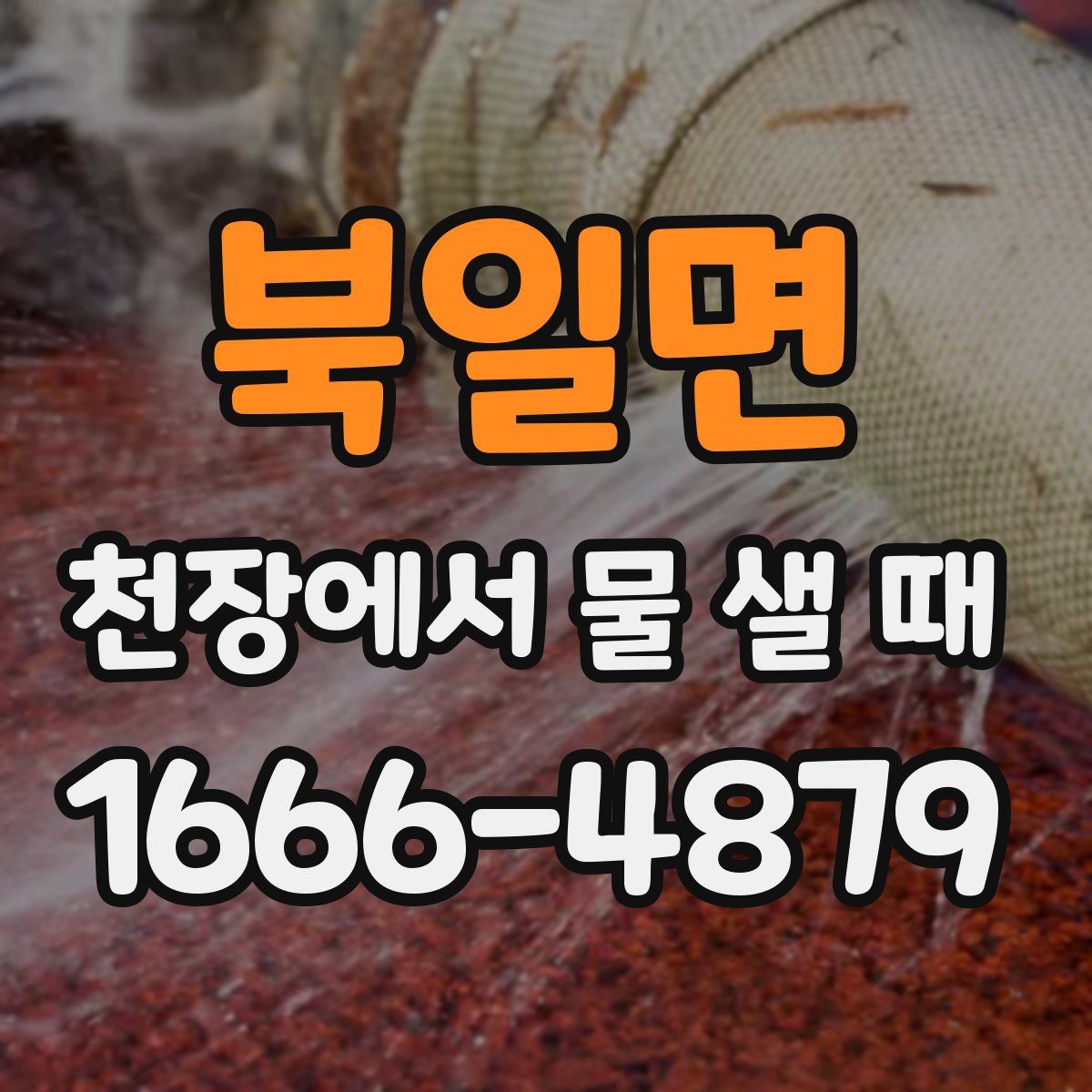 북일면 천장에서 물 샐 때