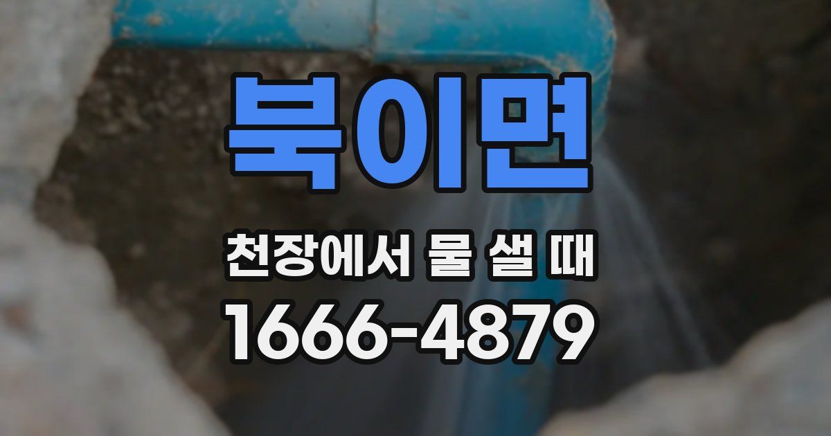 북이면 천장에서 물 샐 때