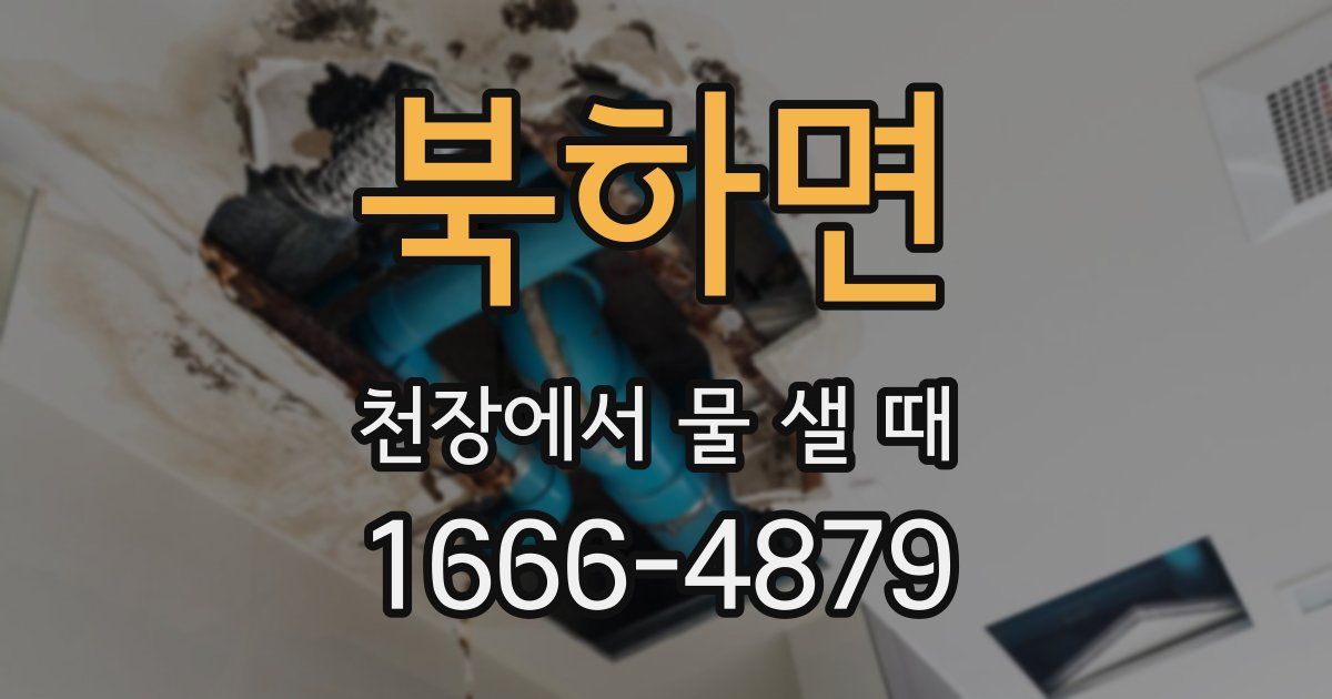 북하면 천장에서 물 샐 때