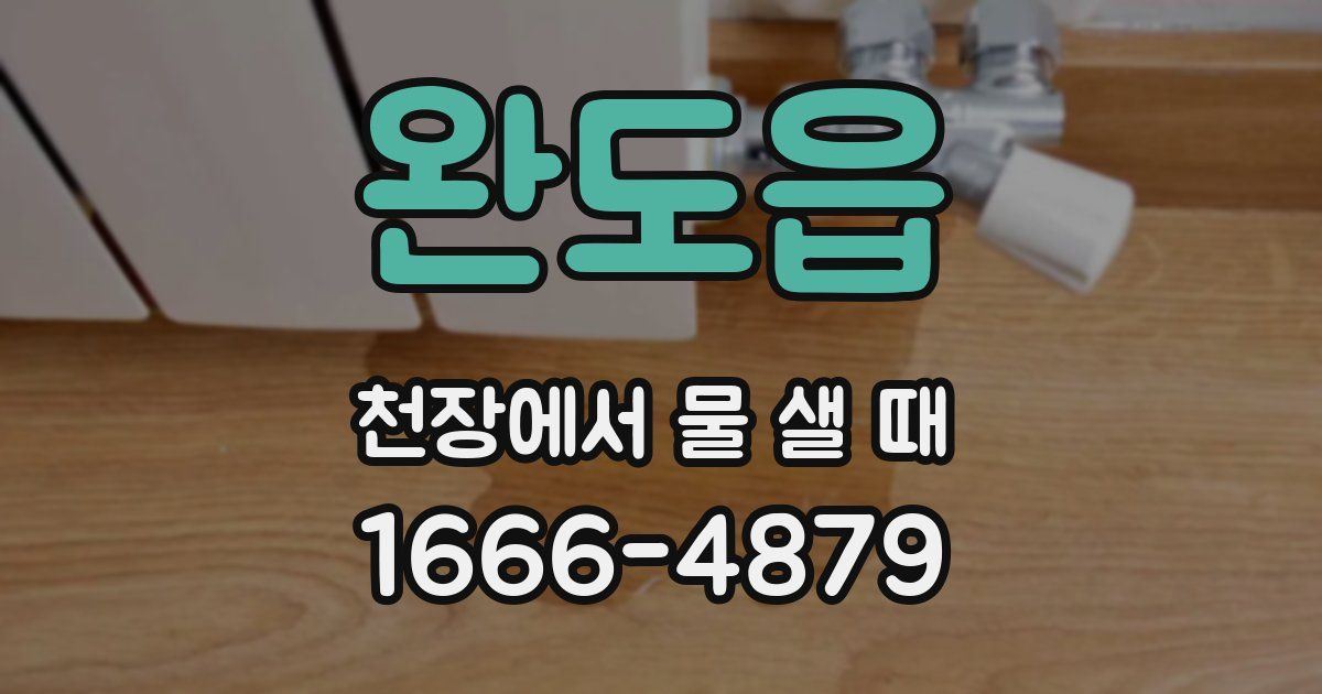 완도읍 천장에서 물 샐 때