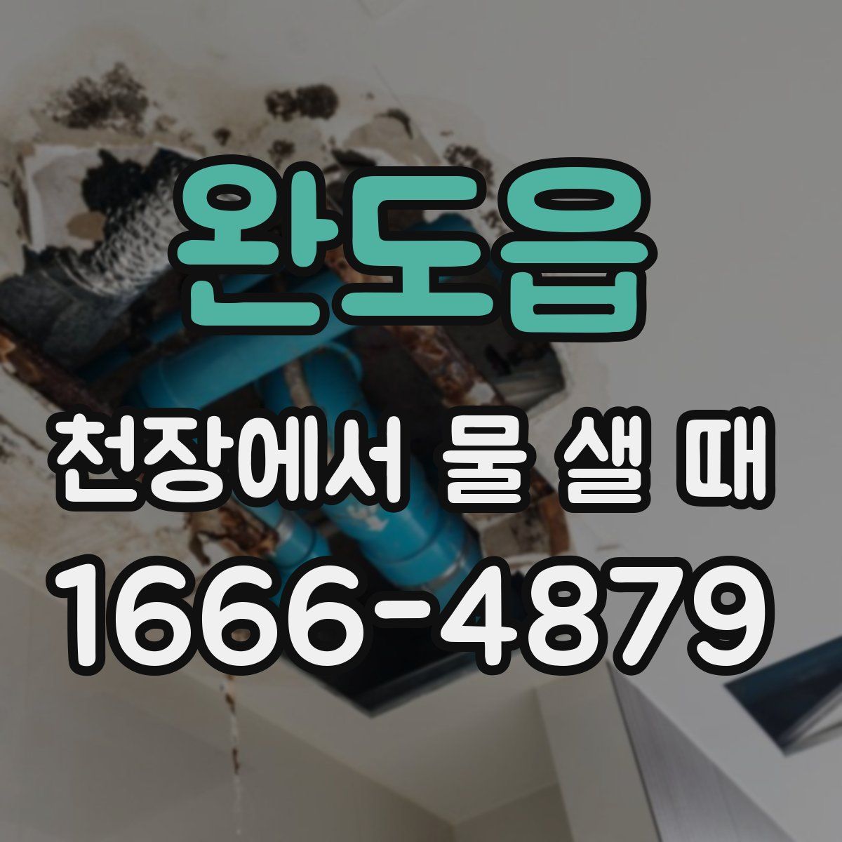 완도읍 천장에서 물 샐 때